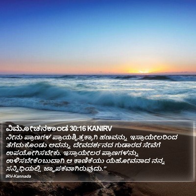 ವಿಮೋಚನಕಾಂಡ 30:16 KANIRV Bible Verse Image