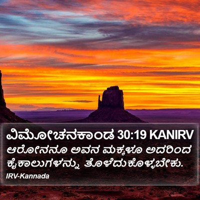 ವಿಮೋಚನಕಾಂಡ 30:19 KANIRV Bible Verse Image