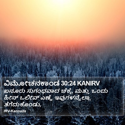 ವಿಮೋಚನಕಾಂಡ 30:24 KANIRV Bible Verse Image