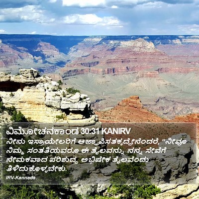 ವಿಮೋಚನಕಾಂಡ 30:31 KANIRV Bible Verse Image