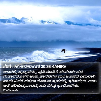 ವಿಮೋಚನಕಾಂಡ 30:36 KANIRV Bible Verse Image