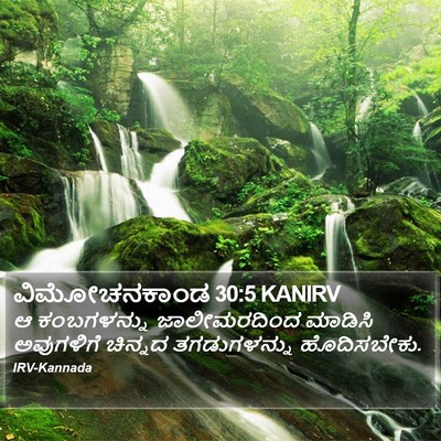 ವಿಮೋಚನಕಾಂಡ 30:5 KANIRV Bible Verse Image