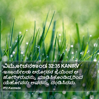 ವಿಮೋಚನಕಾಂಡ 32:35 KANIRV Bible Verse Image