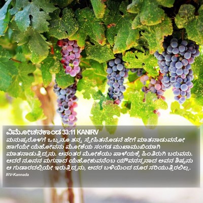 ವಿಮೋಚನಕಾಂಡ 33:11 KANIRV Bible Verse Image
