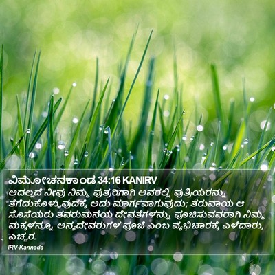 ವಿಮೋಚನಕಾಂಡ 34:16 KANIRV Bible Verse Image