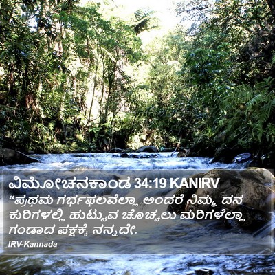 ವಿಮೋಚನಕಾಂಡ 34:19 KANIRV Bible Verse Image