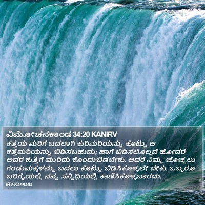 ವಿಮೋಚನಕಾಂಡ 34:20 KANIRV Bible Verse Image