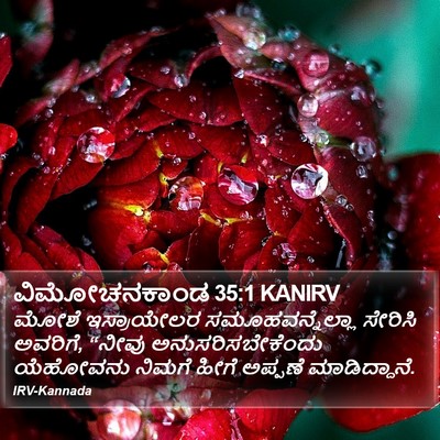ವಿಮೋಚನಕಾಂಡ 35:1 KANIRV Bible Verse Image