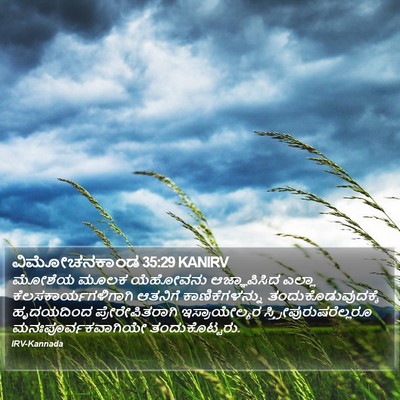 ವಿಮೋಚನಕಾಂಡ 35:29 KANIRV Bible Verse Image