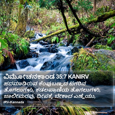 ವಿಮೋಚನಕಾಂಡ 35:7 KANIRV Bible Verse Image