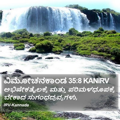 ವಿಮೋಚನಕಾಂಡ 35:8 KANIRV Bible Verse Image