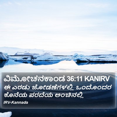 ವಿಮೋಚನಕಾಂಡ 36:11 KANIRV Bible Verse Image