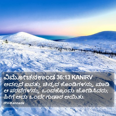 ವಿಮೋಚನಕಾಂಡ 36:13 KANIRV Bible Verse Image