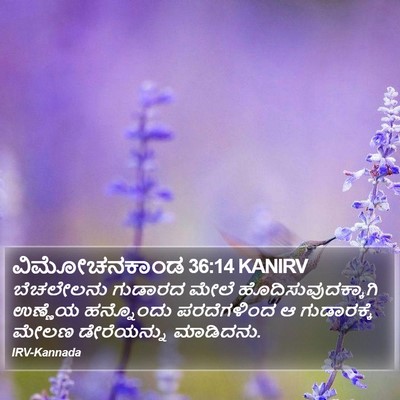ವಿಮೋಚನಕಾಂಡ 36:14 KANIRV Bible Verse Image