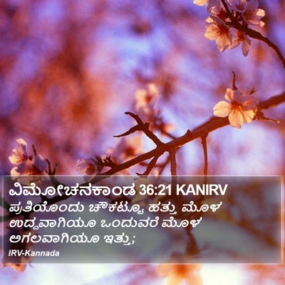 ವಿಮೋಚನಕಾಂಡ 36:21 KANIRV Bible Verse Image