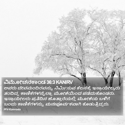 ವಿಮೋಚನಕಾಂಡ 36:3 KANIRV Bible Verse Image