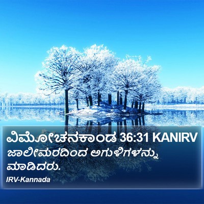 ವಿಮೋಚನಕಾಂಡ 36:31 KANIRV Bible Verse Image