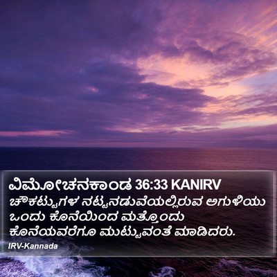 ವಿಮೋಚನಕಾಂಡ 36:33 KANIRV Bible Verse Image