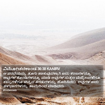 ವಿಮೋಚನಕಾಂಡ 36:38 KANIRV Bible Verse Image