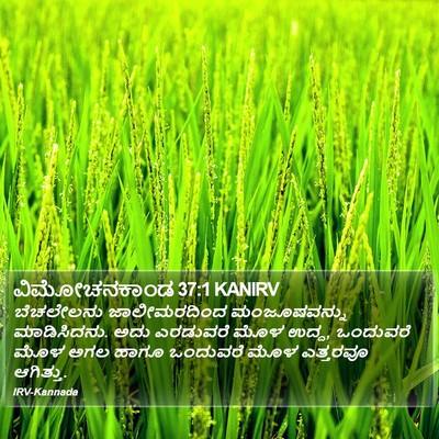 ವಿಮೋಚನಕಾಂಡ 37:1 KANIRV Bible Verse Image