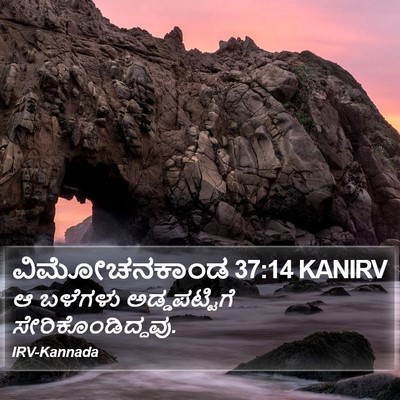 ವಿಮೋಚನಕಾಂಡ 37:14 KANIRV Bible Verse Image