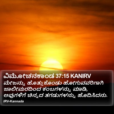 ವಿಮೋಚನಕಾಂಡ 37:15 KANIRV Bible Verse Image