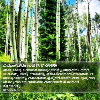 ವಿಮೋಚನಕಾಂಡ 37:17 KANIRV Bible Verse Image