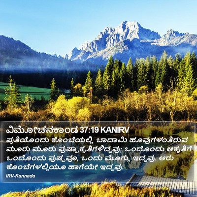 ವಿಮೋಚನಕಾಂಡ 37:19 KANIRV Bible Verse Image