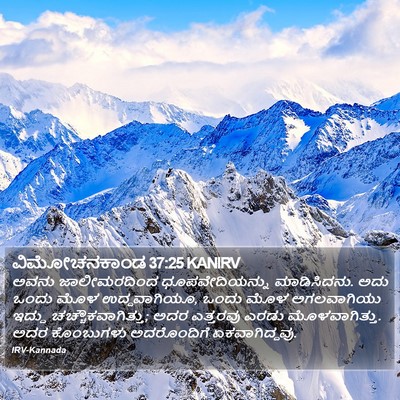 ವಿಮೋಚನಕಾಂಡ 37:25 KANIRV Bible Verse Image