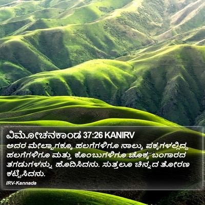 ವಿಮೋಚನಕಾಂಡ 37:26 KANIRV Bible Verse Image