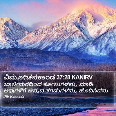 ವಿಮೋಚನಕಾಂಡ 37:28 KANIRV Bible Verse Image
