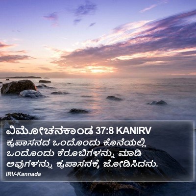 ವಿಮೋಚನಕಾಂಡ 37:8 KANIRV Bible Verse Image