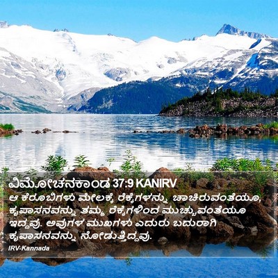ವಿಮೋಚನಕಾಂಡ 37:9 KANIRV Bible Verse Image