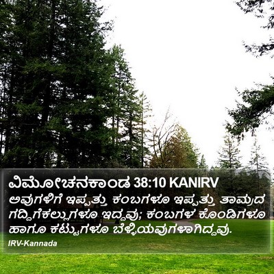 ವಿಮೋಚನಕಾಂಡ 38:10 KANIRV Bible Verse Image