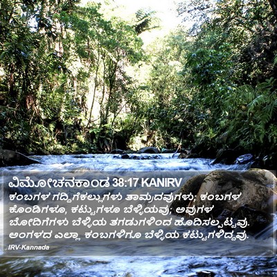 ವಿಮೋಚನಕಾಂಡ 38:17 KANIRV Bible Verse Image