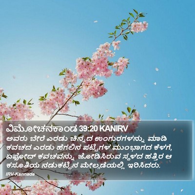 ವಿಮೋಚನಕಾಂಡ 39:20 KANIRV Bible Verse Image