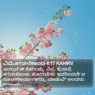 ವಿಮೋಚನಕಾಂಡ 4:17 KANIRV Bible Verse Image