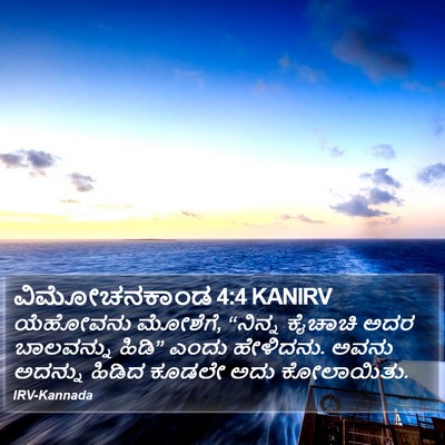 ವಿಮೋಚನಕಾಂಡ 4:4 KANIRV Bible Verse Image