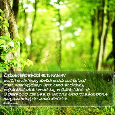 ವಿಮೋಚನಕಾಂಡ 40:15 KANIRV Bible Verse Image