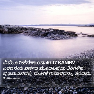 ವಿಮೋಚನಕಾಂಡ 40:17 KANIRV Bible Verse Image