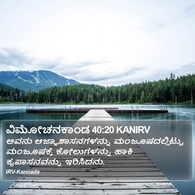 ವಿಮೋಚನಕಾಂಡ 40:20 KANIRV Bible Verse Image