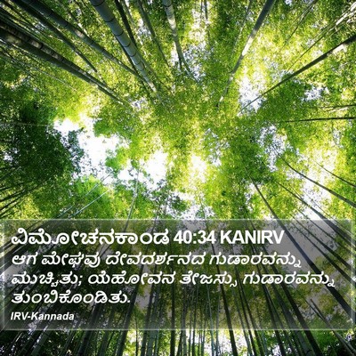 ವಿಮೋಚನಕಾಂಡ 40:34 KANIRV Bible Verse Image