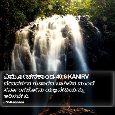 ವಿಮೋಚನಕಾಂಡ 40:6 KANIRV Bible Verse Image