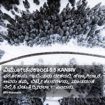 ವಿಮೋಚನಕಾಂಡ 5:5 KANIRV Bible Verse Image