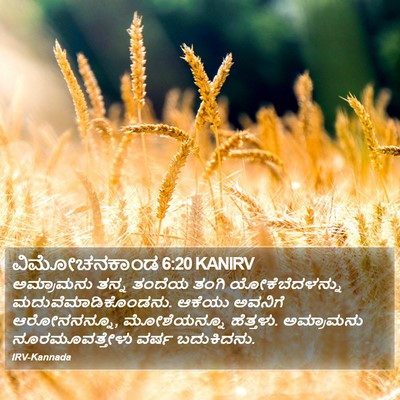 ವಿಮೋಚನಕಾಂಡ 6:20 KANIRV Bible Verse Image