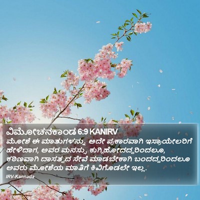 ವಿಮೋಚನಕಾಂಡ 6:9 KANIRV Bible Verse Image