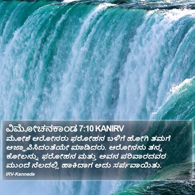 ವಿಮೋಚನಕಾಂಡ 7:10 KANIRV Bible Verse Image