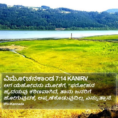 ವಿಮೋಚನಕಾಂಡ 7:14 KANIRV Bible Verse Image