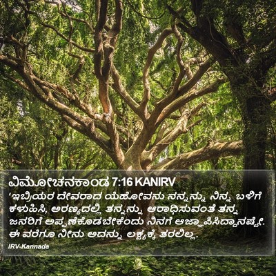 ವಿಮೋಚನಕಾಂಡ 7:16 KANIRV Bible Verse Image
