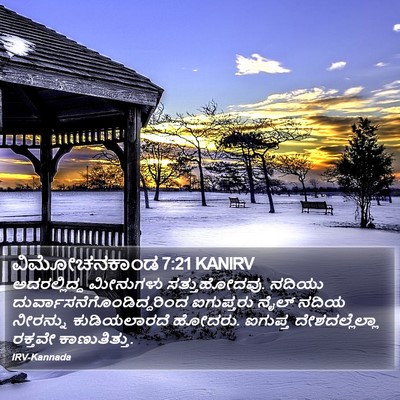 ವಿಮೋಚನಕಾಂಡ 7:21 KANIRV Bible Verse Image